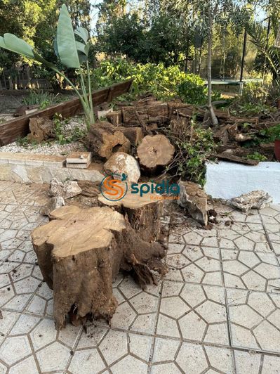 Image No.20-4 Bed Country House for sale