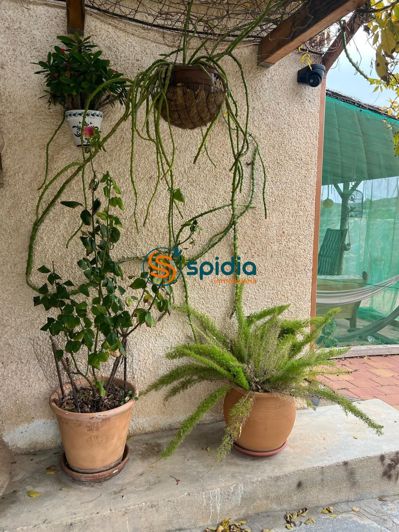 Image No.20-4 Bed Country House for sale