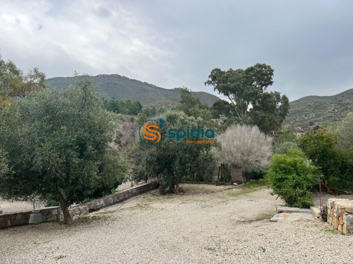 Image No.47-4 Bed Country House for sale