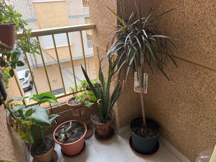 Image No.49-4 Bed Flat for sale