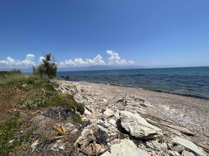 Image No.5-Commercial for sale