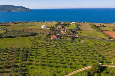 DJI_0568