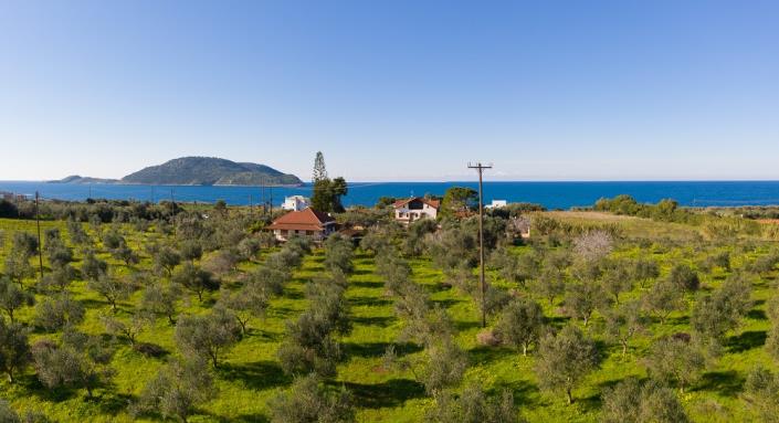 Image No.4-Plot for sale