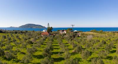 DJI_0574-Pano