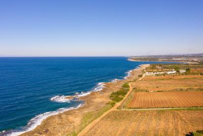 DJI_0579