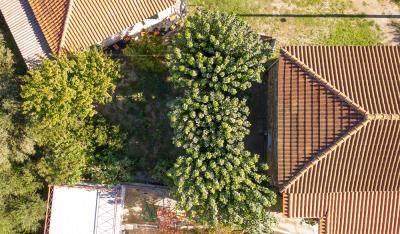 DJI_0303