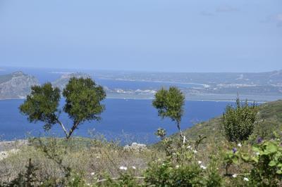 pnview1
