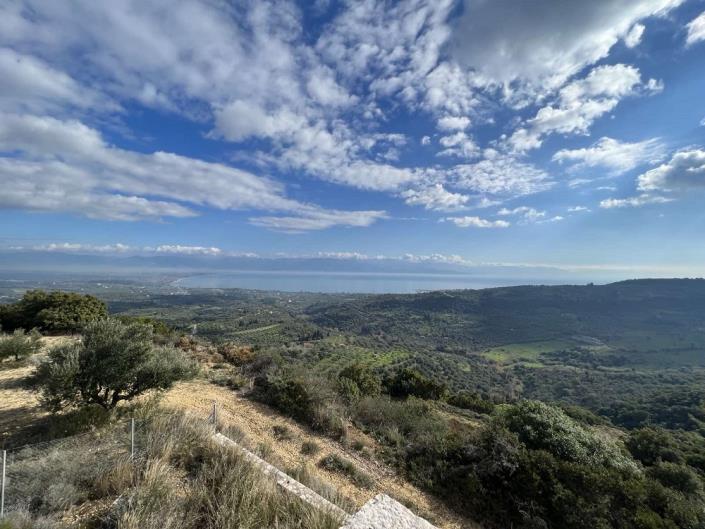 Image No.15-Maison / Villa de 3 chambres à vendre à Petalidi