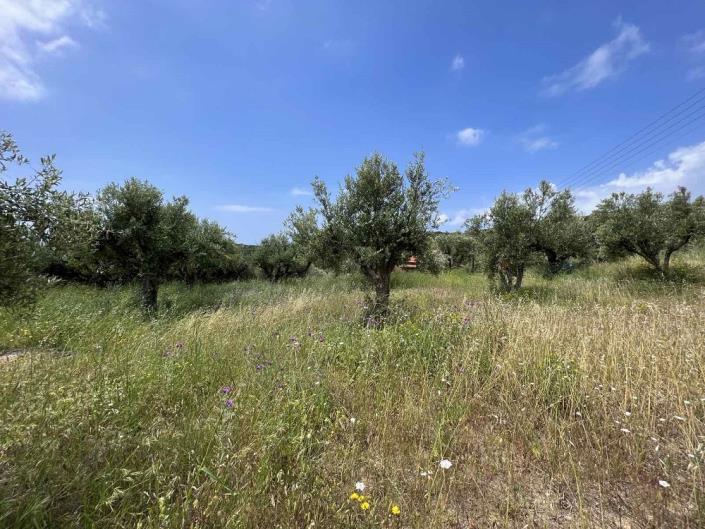 Image No.12-Chalet à vendre à Foinikountas