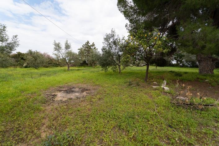 Image No.13-3 Bed Bungalow for sale