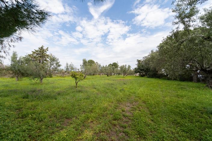 Image No.25-3 Bed Bungalow for sale