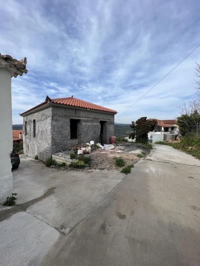 Image No.1-Village House for sale