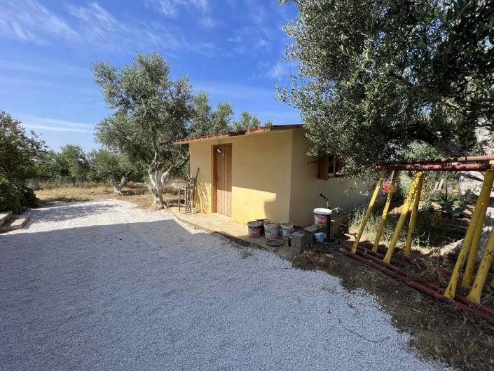 Image No.25-Maison de 1 chambre à vendre à Evangalismos