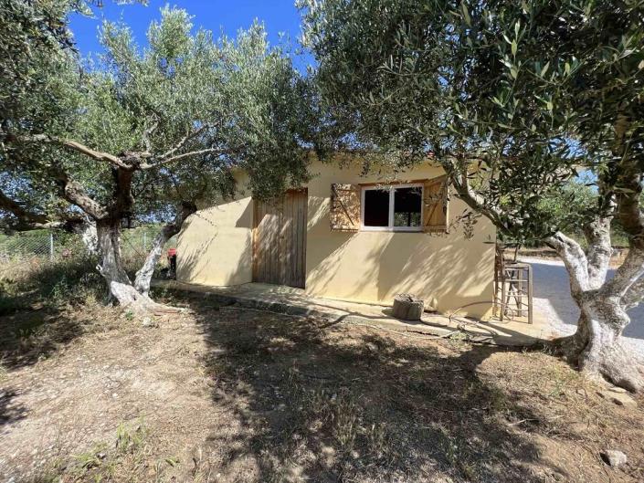 Image No.26-Maison de 1 chambre à vendre à Evangalismos