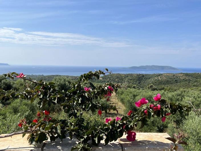 Image No.9-Maison de 1 chambre à vendre à Evangalismos