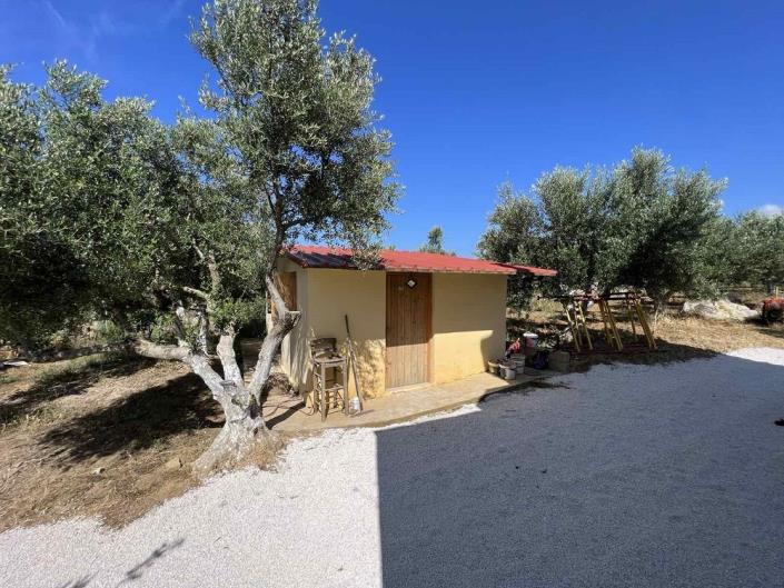 Image No.24-Maison de 1 chambre à vendre à Evangalismos