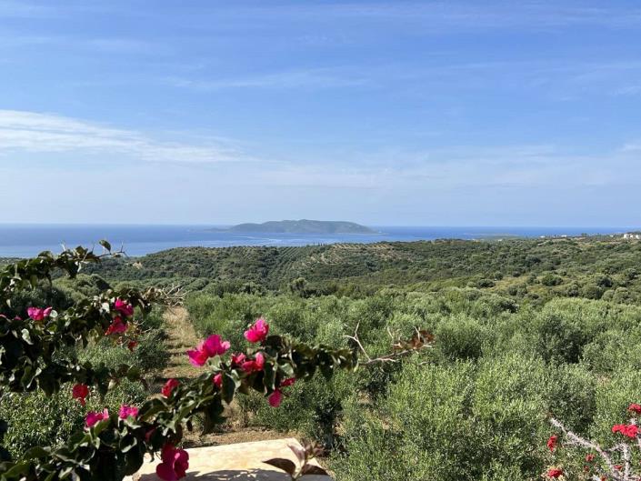 Image No.10-Maison de 1 chambre à vendre à Evangalismos