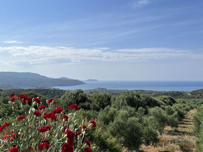 Image No.11-Maison de 1 chambre à vendre à Evangalismos