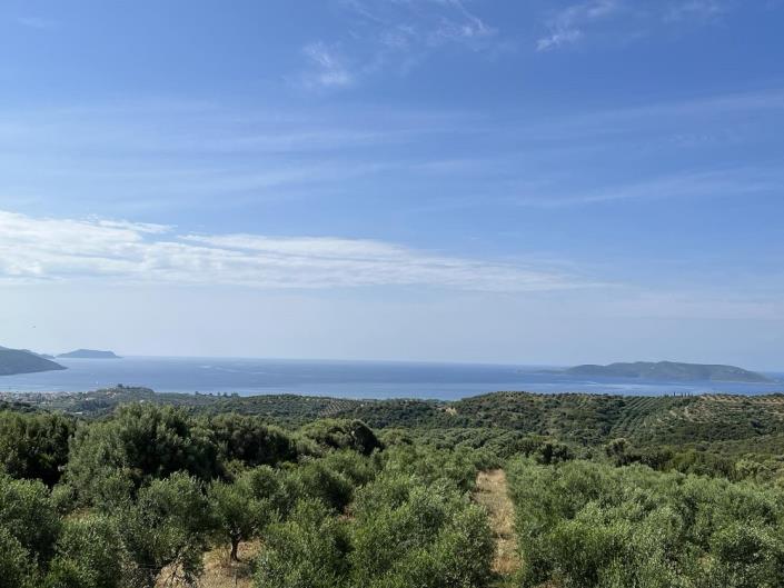 Image No.13-Maison de 1 chambre à vendre à Evangalismos