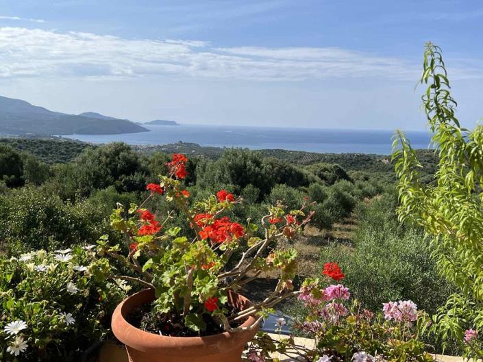 Image No.12-Maison de 1 chambre à vendre à Evangalismos