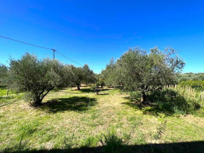 Image No.18-2 Bed House for sale