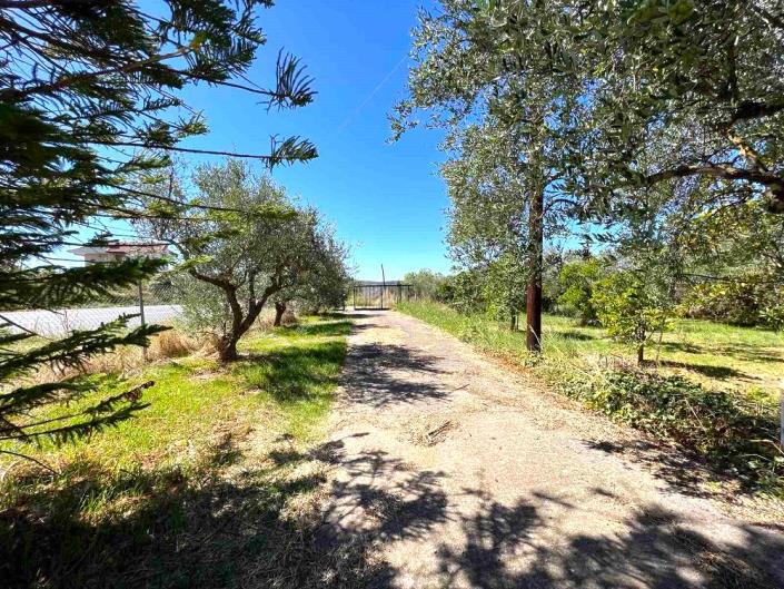 Image No.19-2 Bed House for sale