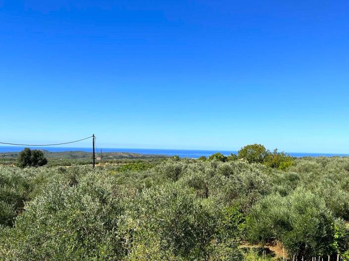 Image No.20-2 Bed House for sale