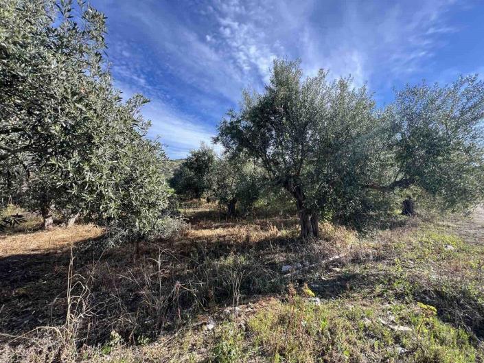 Image No.6-Terrain à vendre à Gialova