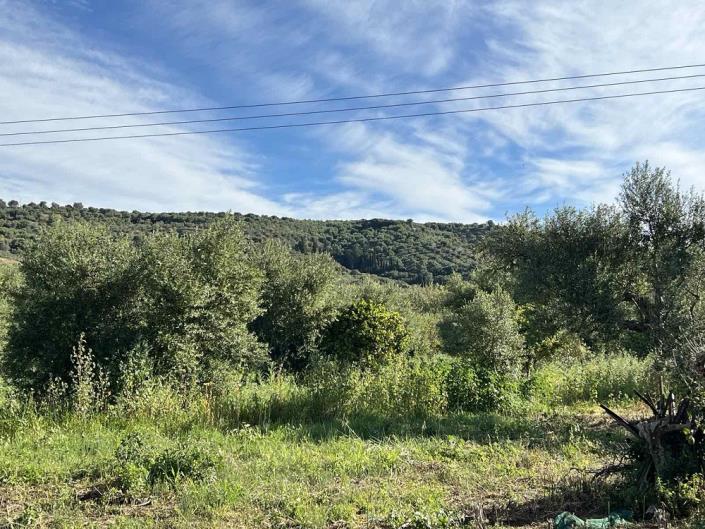 Image No.9-Terrain à vendre à Gialova
