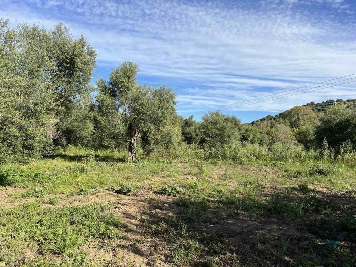 Image No.11-Terrain à vendre à Gialova