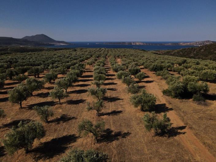 Image No.23-2 Bed Bungalow for sale