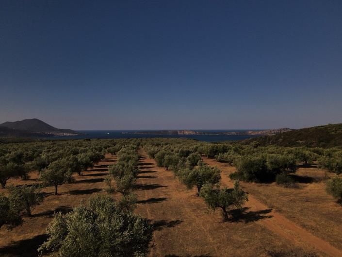 Image No.24-2 Bed Bungalow for sale