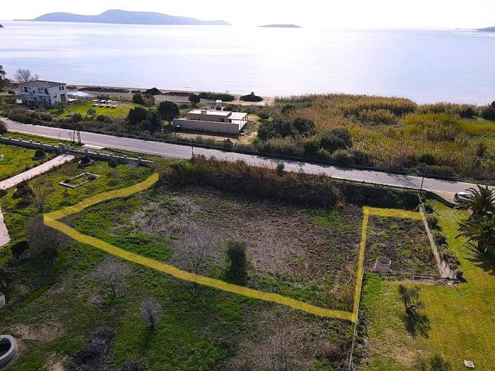 Image No.3-Terrain à vendre à Messinia