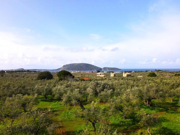 Image No.1-Plot for sale