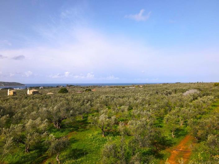 Image No.2-Plot for sale