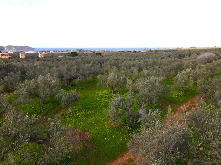 Image No.5-Plot for sale