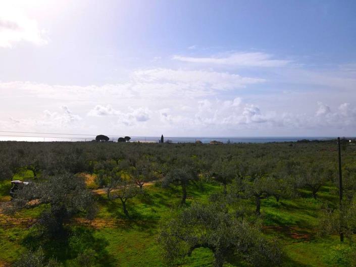 Image No.6-Plot for sale