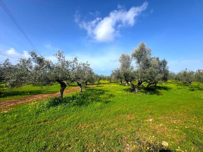 Image No.7-Plot for sale