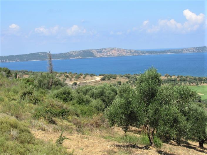 Image No.2-Plot for sale