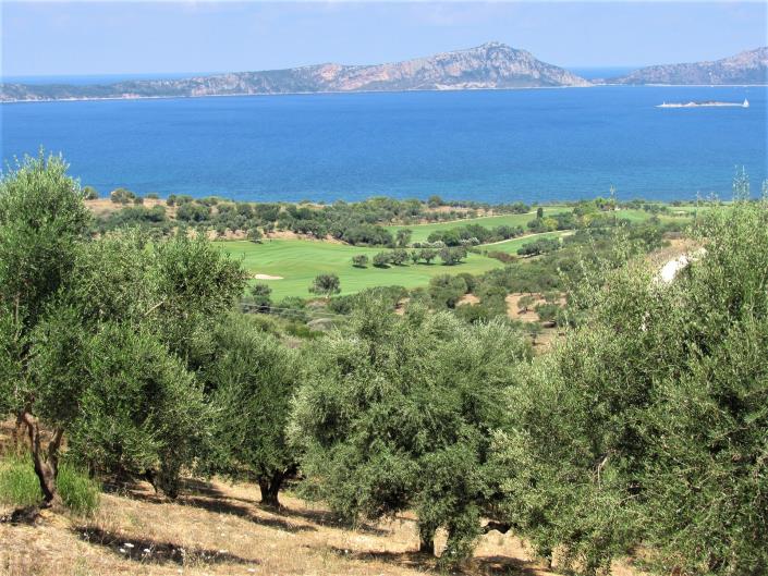 Image No.4-Plot for sale