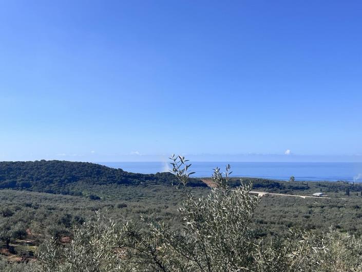 Image No.5-Terrain à vendre à Messinia