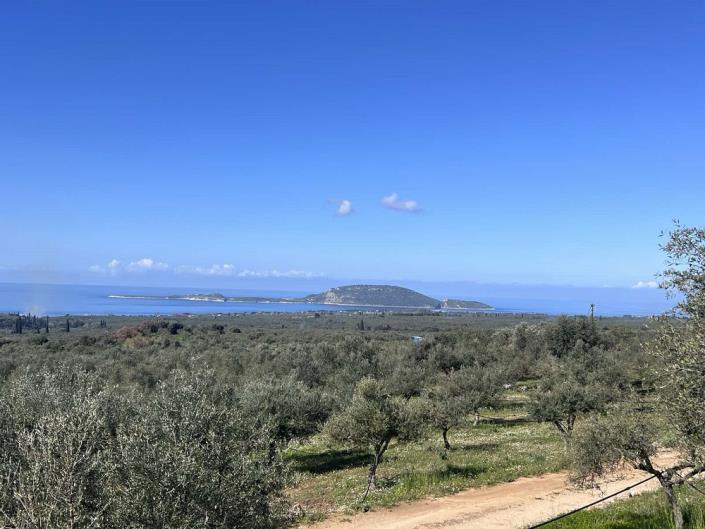 Image No.3-Terrain à vendre à Messinia