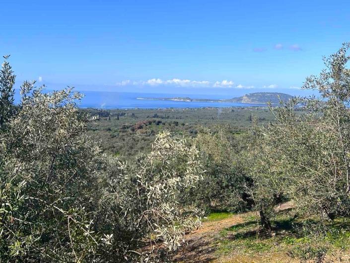 Image No.6-Terrain à vendre à Messinia