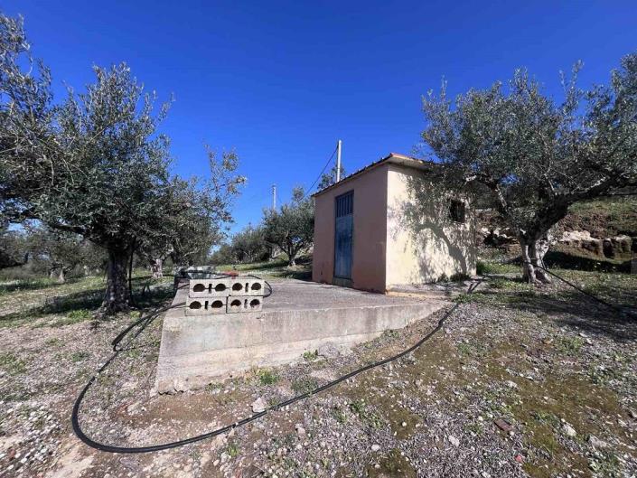 Image No.7-Terrain à vendre à Messinia