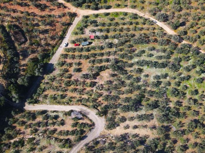 Image No.8-Terrain à vendre à Messinia