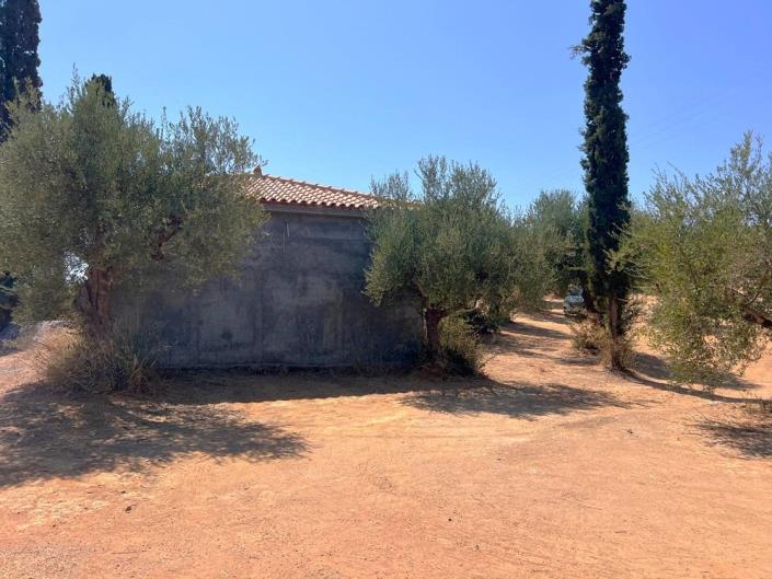 Image No.10-Bungalow for sale