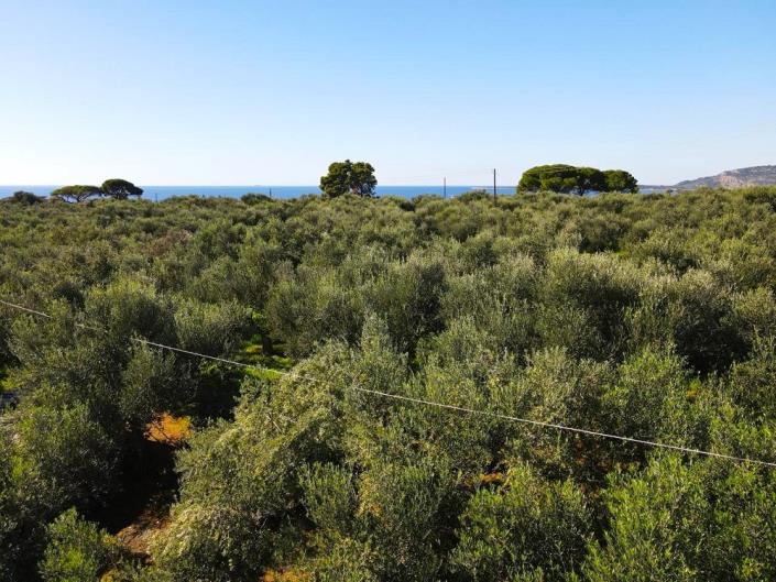 Image No.6-2 Bed Cottage for sale