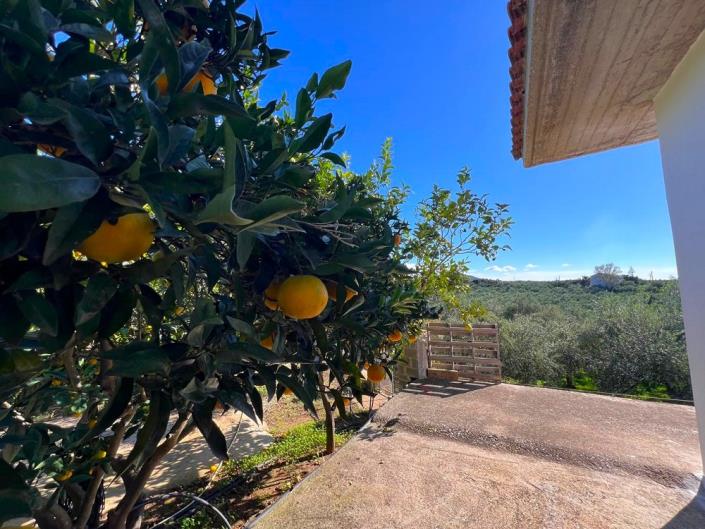 Image No.12-2 Bed Cottage for sale