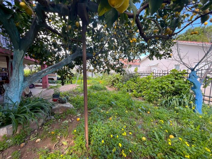 Image No.26-Maison / Villa de 3 chambres à vendre à Petalidi