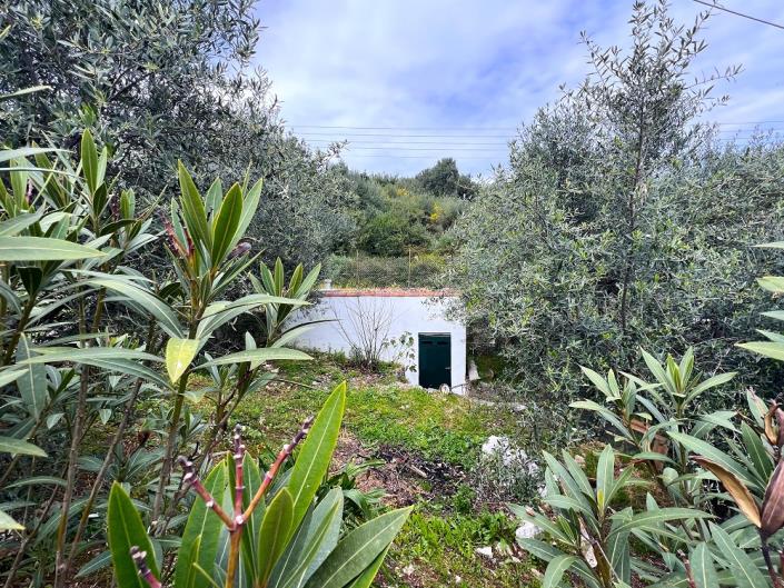 Image No.7-3 Bed House/Villa for sale